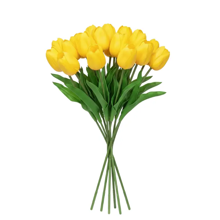 פרח טוליפ גדול צהוב