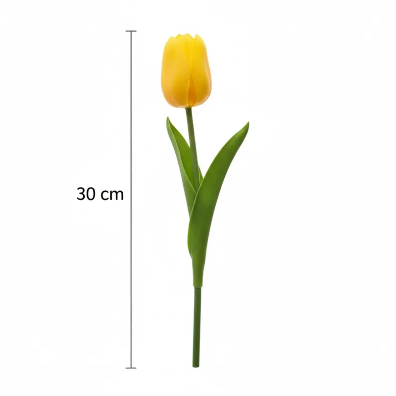 פרח טוליפ שחור קטן