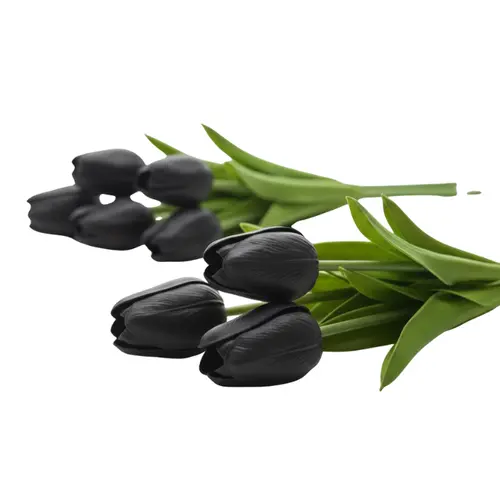 פרח טוליפ שחור קטן