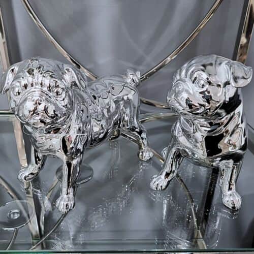 כלב פאג כסוף עומד