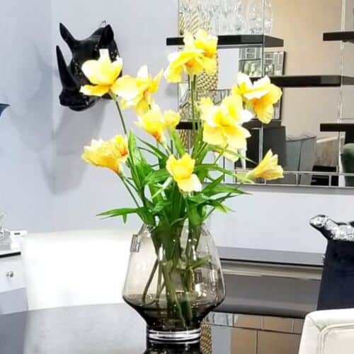 פרח אירוס צהוב