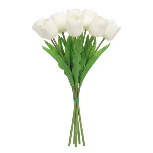 פרח טוליפ גדול לבן